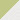 Forsythia (Stationery) - Celery
