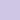 Ranunculus - Lavender