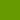 Stripe Suite (Stationery) - Green