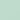 Citrus Orchard Suite (Invitation) - Mint